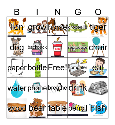 Living things! Bingo Card