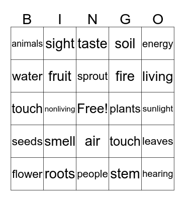 Living and Nonliving Bingo Card