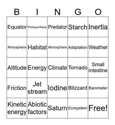 Bingo Card