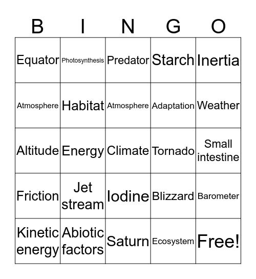 Bingo Card