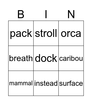 Vocabulary BINGO Card