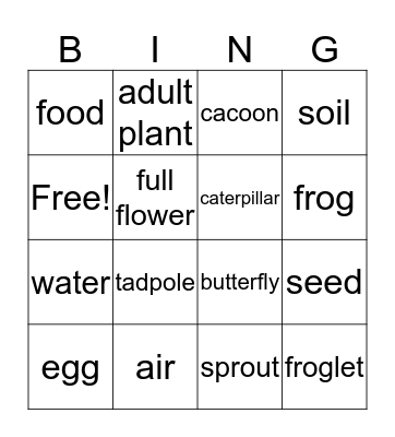 Science BINGO! Bingo Card