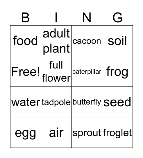 Science BINGO! Bingo Card