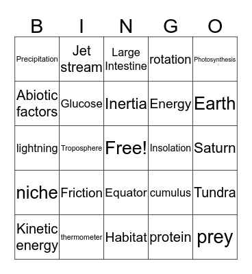 Bingo Card