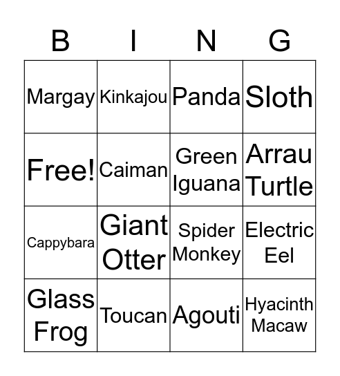 Rainforest Bingo Card