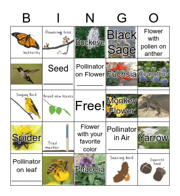 Habitat Bingo - Flowers and Pollinators Bingo Card