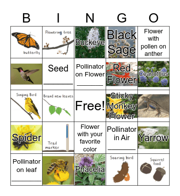 Habitat Bingo - Flowers and Pollinators Bingo Card