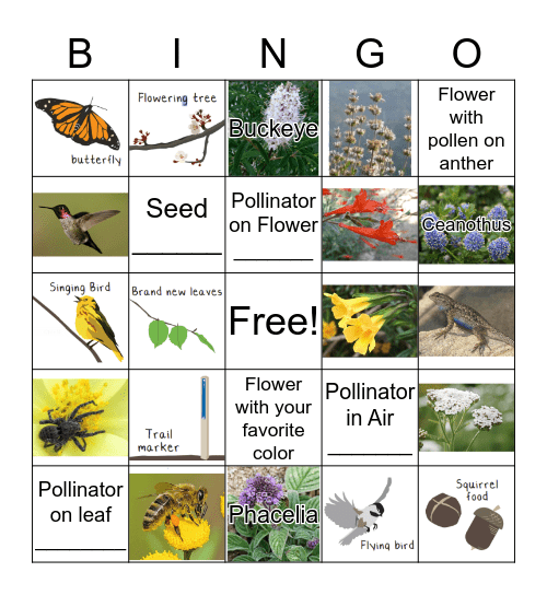 Habitat Bingo - Flowers and Pollinators Bingo Card