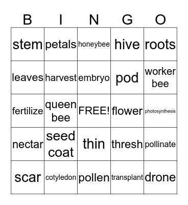 Plants and Honeybees Bingo Card