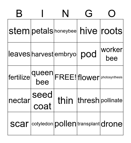 Plants and Honeybees Bingo Card