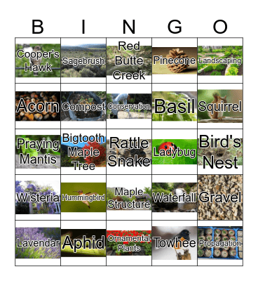 Garden Bingo Card