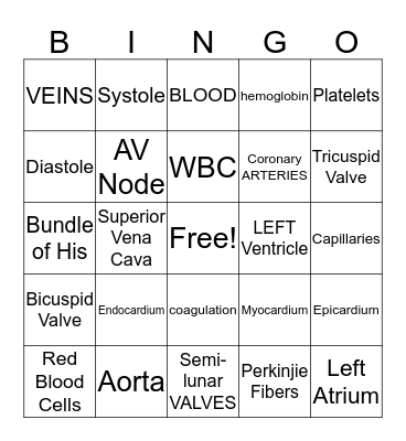 CARDIOVASCULAR  Bingo Card