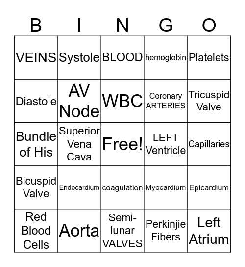 CARDIOVASCULAR  Bingo Card