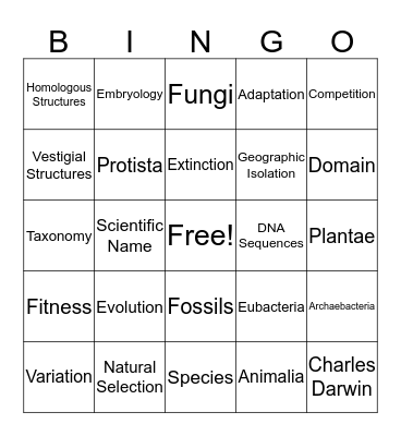 Evolution Bingo Card