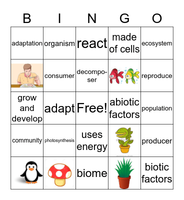 Ecology Quiz Review Bingo Card