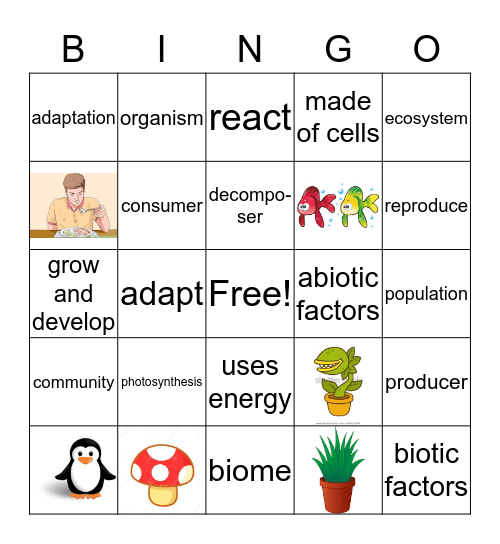 Ecology Quiz Review Bingo Card