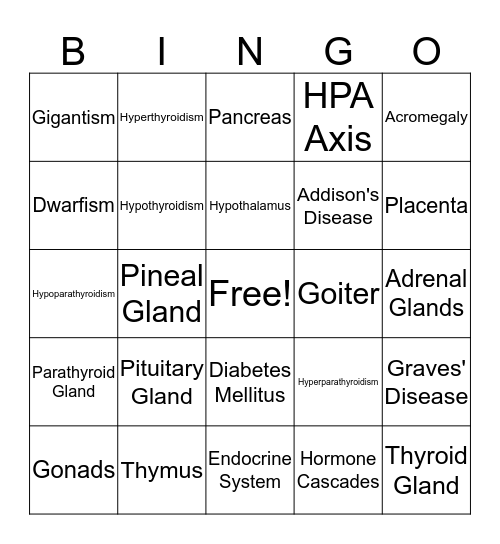 Endocrine System Bingo Card