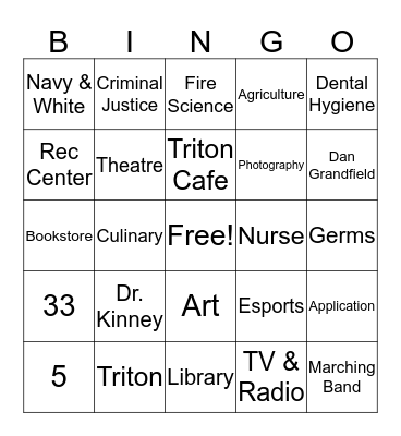 TRITON BINGO  Bingo Card