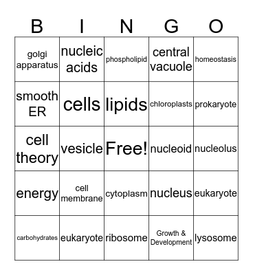 Unit 1 -3 Bingo Card