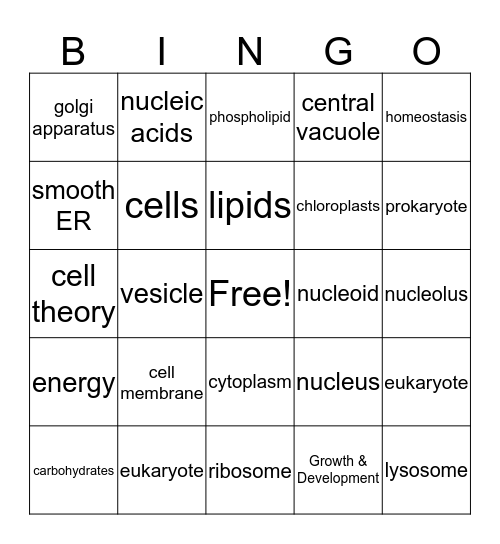 Unit 1 -3 Bingo Card