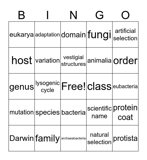 Unit 4-6 Bingo Card