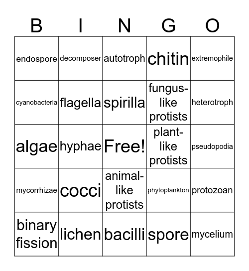 Unit 7-9 Bingo Card