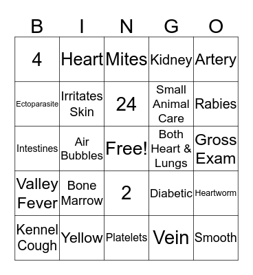Vet Science Review Bingo Card