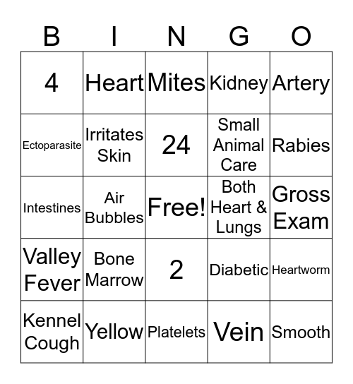 Vet Science Review Bingo Card