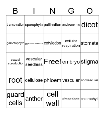 Unit 10-12 Bingo Card