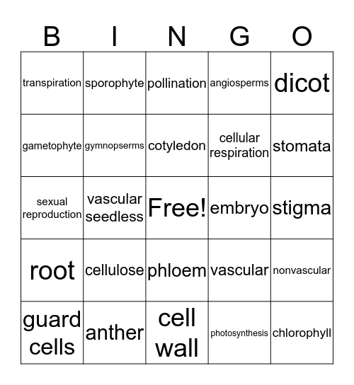 Unit 10-12 Bingo Card