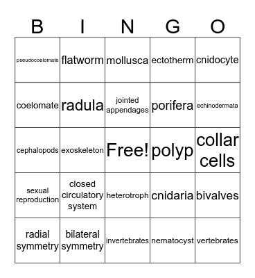 Unit 13-16 Bingo Card
