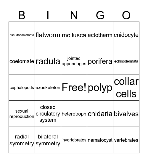 Unit 13-16 Bingo Card