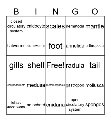 Unit 15-16 Bingo Card