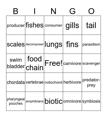 Unit 16- 17 Bingo Card