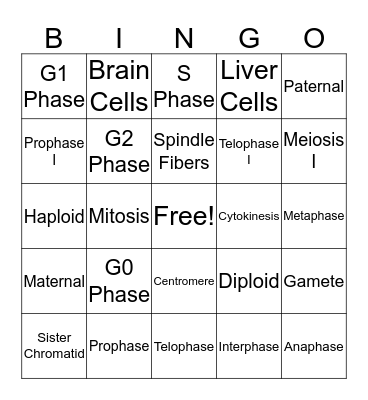 Cell Division Bingo! Bingo Card