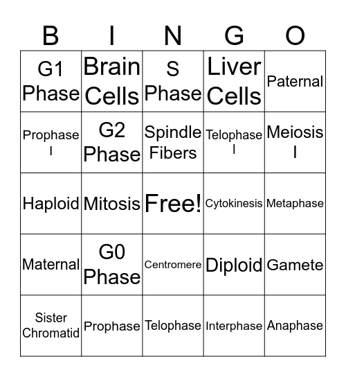 Cell Division Bingo! Bingo Card