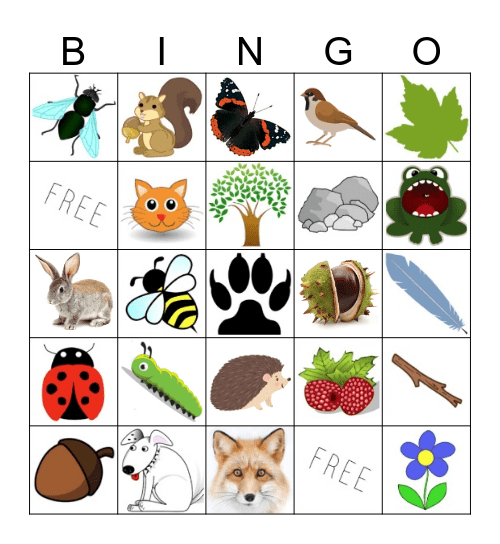 Wildlife Bingo Card