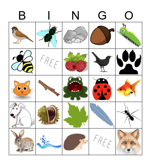 Wildlife Bingo Card