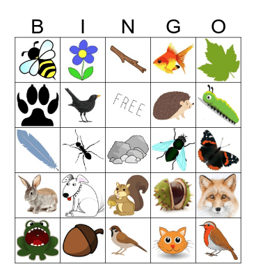 Wildlife Bingo Card
