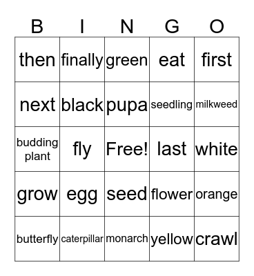 Newcomer U4 Life Cycle Bingo Card