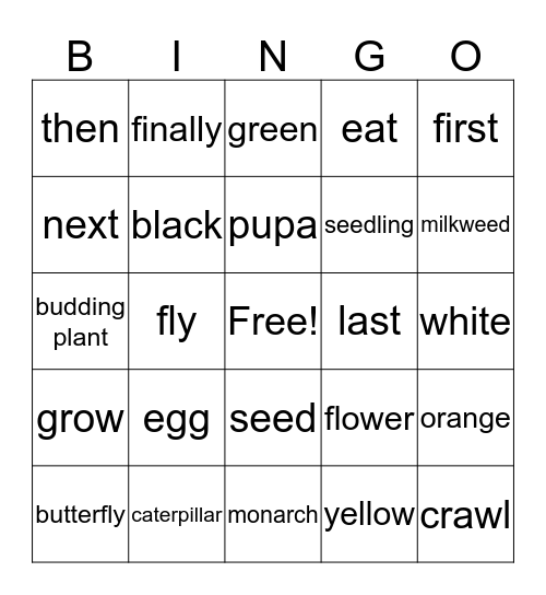 Newcomer U4 Life Cycle Bingo Card