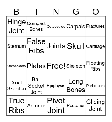 Skeletal System Bingo Card