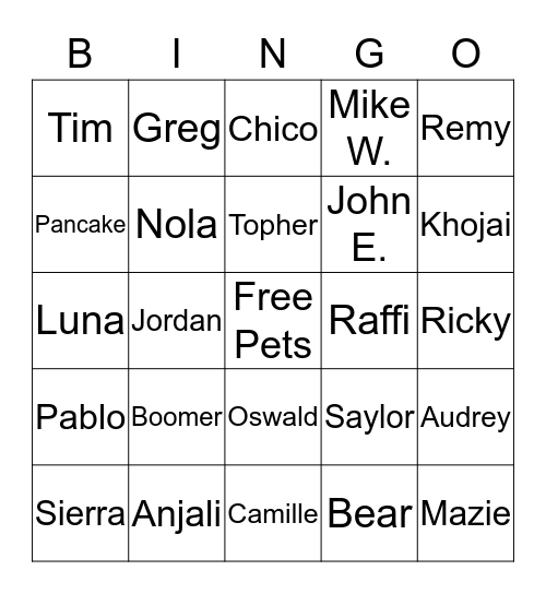 Splash Dogs  Bingo Card
