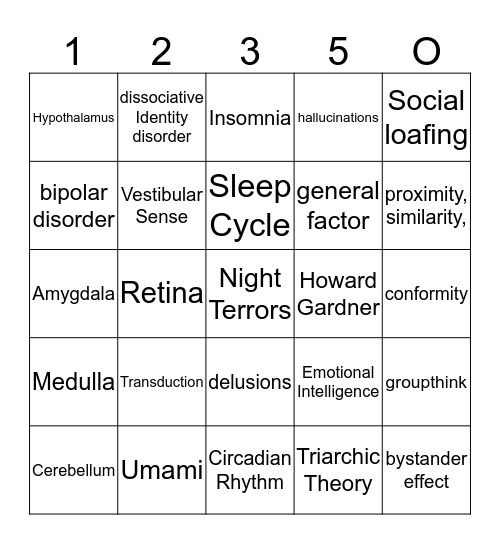 Psych 2 Review Bingo Card
