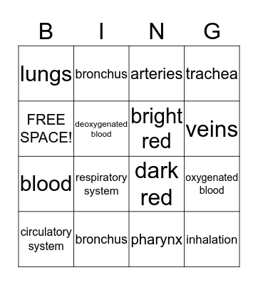 Respiratory and Circulatory BINGO Card