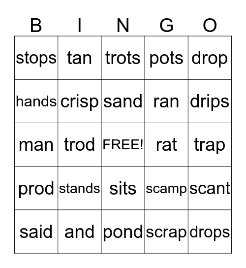 Bingo to TP 13 Bingo Card