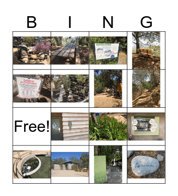 Tree People Bingo Card