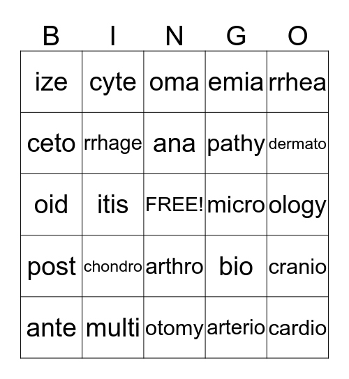 anatomy Bingo Card