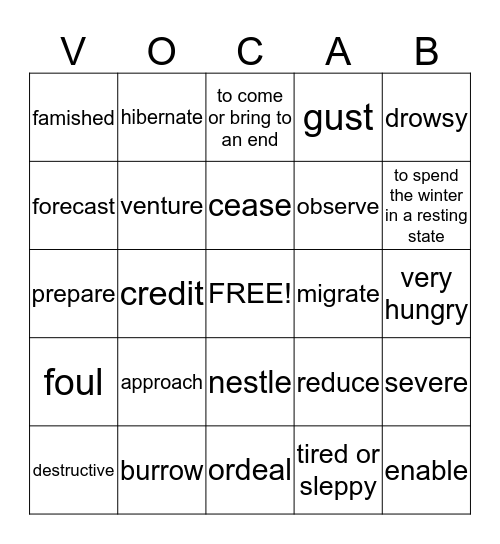 Lesson 3 Vocabulary Bingo Card