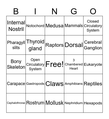 Animal Bingo Card